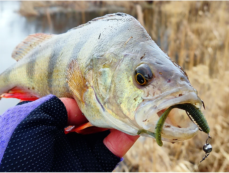 TSURINOYA Angelköder Grub 63 mm 0,7 g 40 Stück Light Game Ajing Künstlicher weicher Köder BOUNDEN Bass Fügen Sie Garnelensalz hinzu Silikon Swimbait – Detail 20