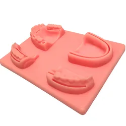 Módulo de entrenamiento de sutura Dental para Oral/Goma, modelo de sutura de boquilla de silicona para el tratamiento de la menstruación