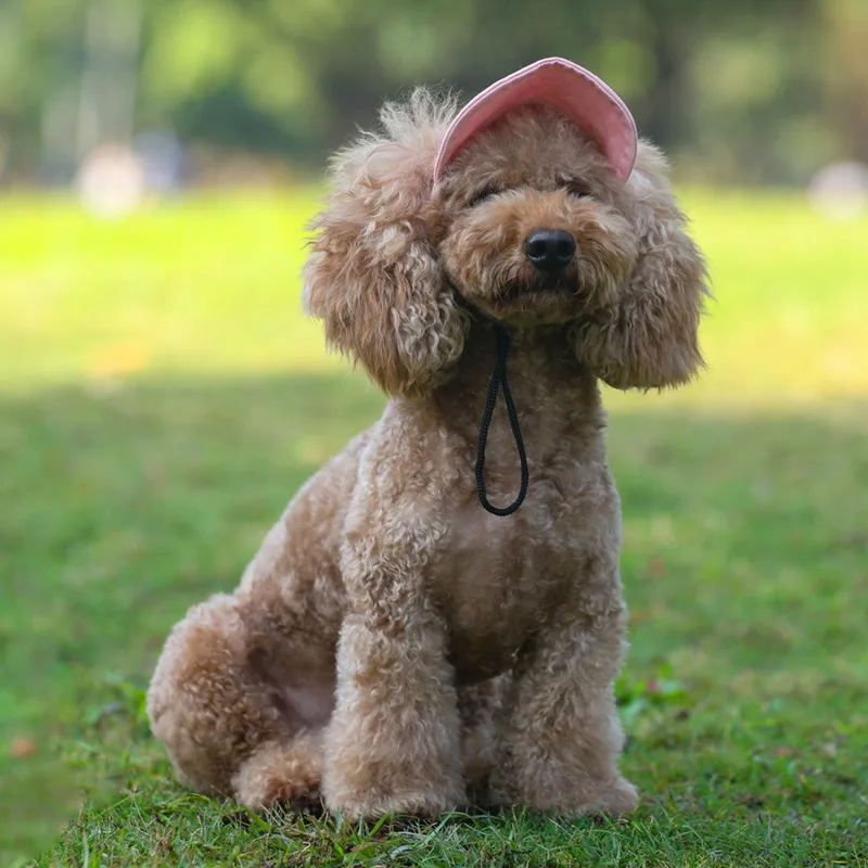 Pet Hat with Ear Holes Cute Baseball Cap for Large Medium Small Dogs Summer Dog Cap Sun Hat Outdoor Hiking Pet Products