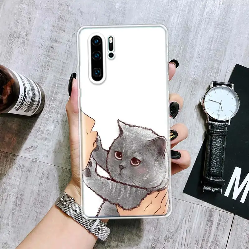 Kiss My Lovely Cat Kitten Phone Case For Huawei Honor 10 9 20 9X 8A 8X 8S Lite Pro Y5 Y6 Y7 Y9S P Smart Z 2019 2021 10i 20i