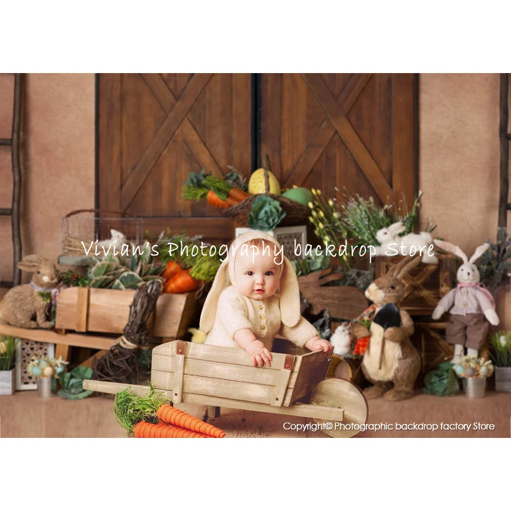 Mocsicka Wooden Door Backdrop Kids Cake Smash 1st Birthday Props Bunny Carrot Decor Baby Newborn Photography Photostudio