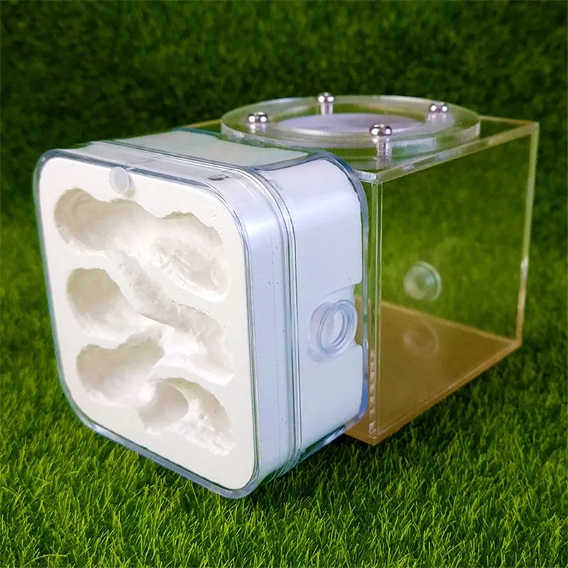 Mini Plaster Ant Nest Acrylic Ants Farm Kids DIY Educational Toys Pet Ants Insect Cages Children Birthday Gifts Anthill House