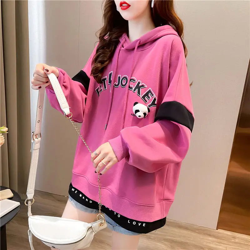 Winter New Style Korean Hoodie Women Sweatshirt Print Letters Female Pullover Fleece Three-dimensional Panda Head Girl Coat 2021