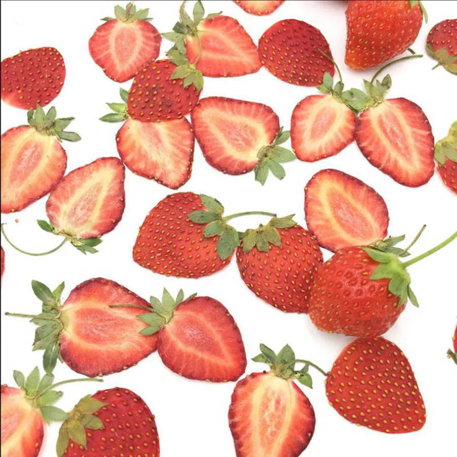 5pcs Dried Pressed Fruit Strawberry Meat Slices Plant Herbarium For Jewelry Photo Frame Phone Case Bookmark Making DIY