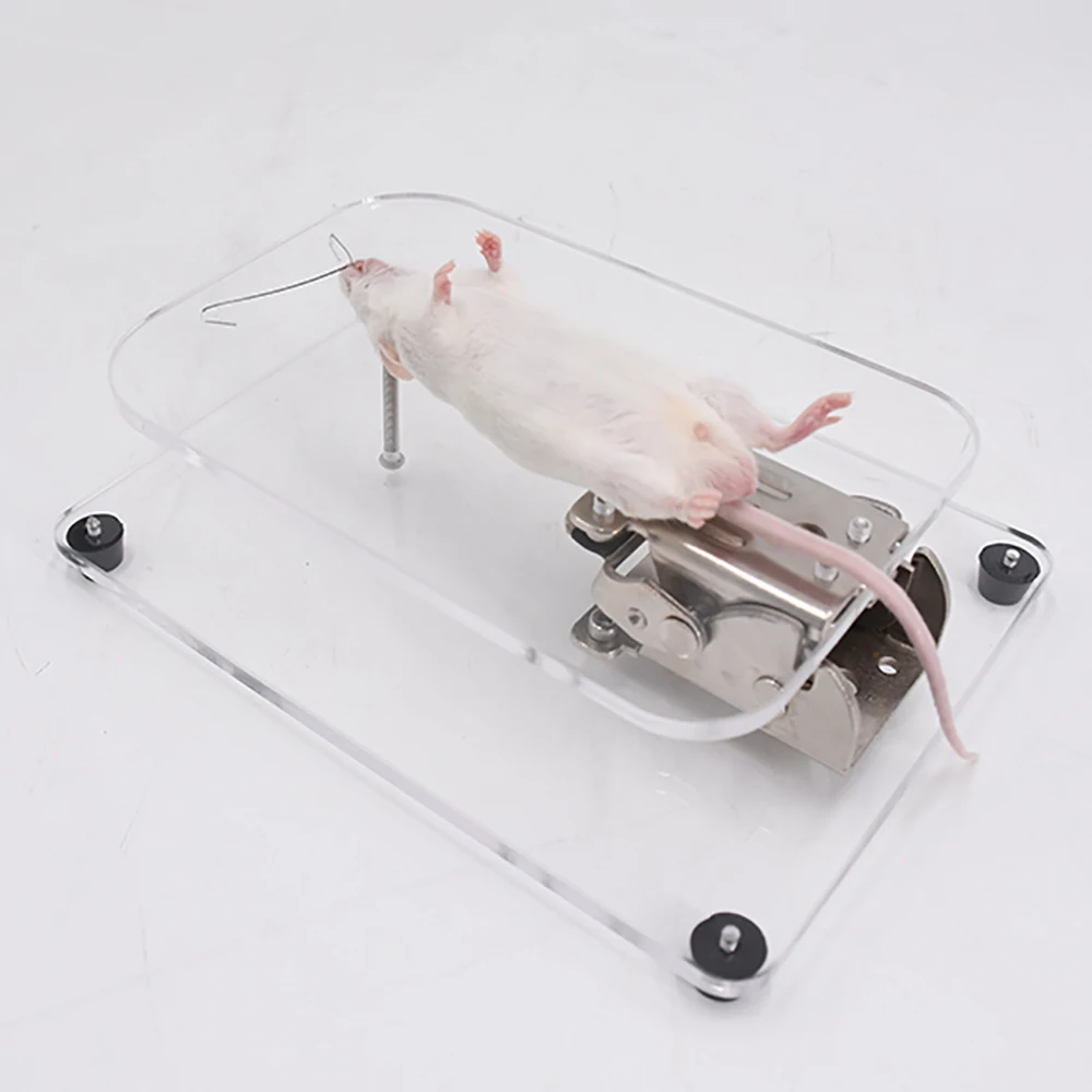 

1PCS Mouse Dissecting Table Rat Frog Planing Fixed Plate Experiment Small Animal Operating Adjustable Scientific Laboratory Tool