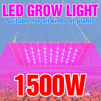 1500W kuantum kurulu bitki ışık LED ampul tam spektrum Phyto lamba 1000W LED Fitolamp kapalı çiçekler için fide büyümek kutusu