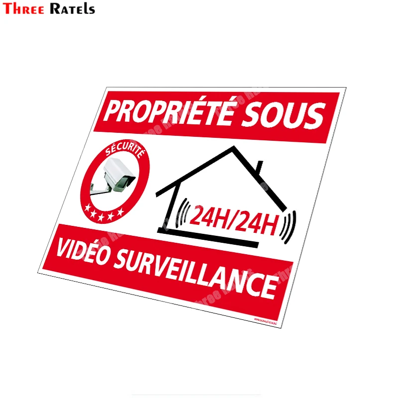 Trois Ratels B294 Adhésif de Propriété Sous permission Vidéo, Protection Anti-UV 24H, Décas et Autocollants