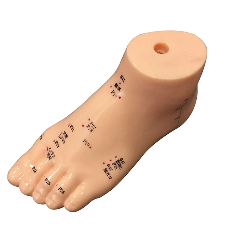 1PC High Quality 13CM Foot Acupuncture Model Human Medical Acupuncture Needle Acupoint Model Teaching Tool