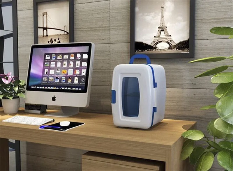 Mini lodówka przenośna lodówka 10L bez hałasu samochód i napój domowy makijaż pielęgnacja skóry zamrażarka ciepłe lub zimne chłodzenie 220V BX22