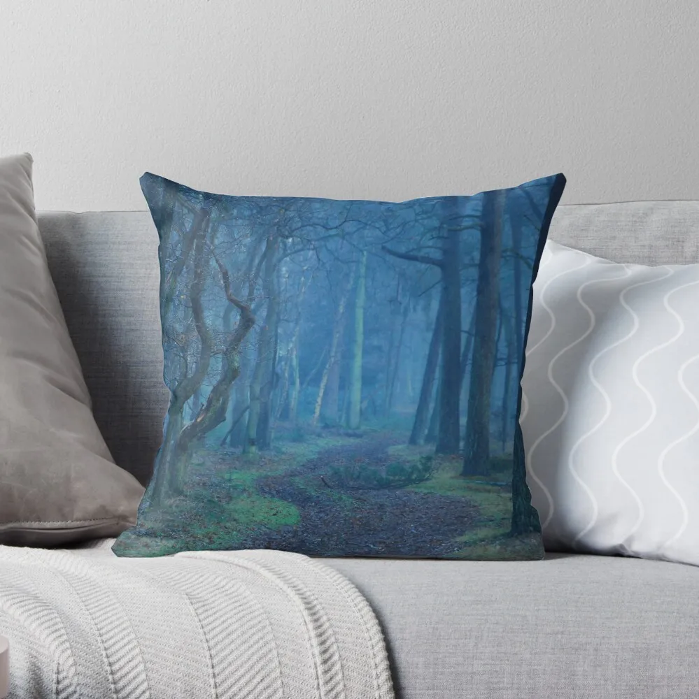 Entering the mysterious world of the blue forest Throw Pillow Pillowcase Home Decorative Sofa Pillow Cover 40x40cm 45x45cm