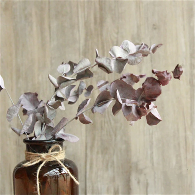 

10Pcs Immortality Eucalyptus Branches Dried Plants Eucalyptus Leaves Flower Arrangement Wedding Bride Holding Bouquet Home Decor