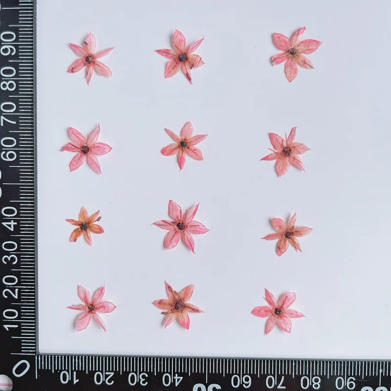 0.7-1cm/100pcs,Pressed mini Leek flower,tiny dry flower wholesale material ins popular nail Art Trinket photo frame star flower