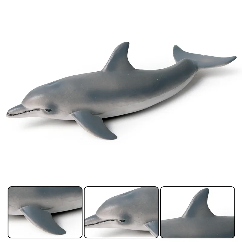 Simulazione vita marina figurine di animali modello di delfino solido PVC Action Figure giocattoli educativi regalo per bambini