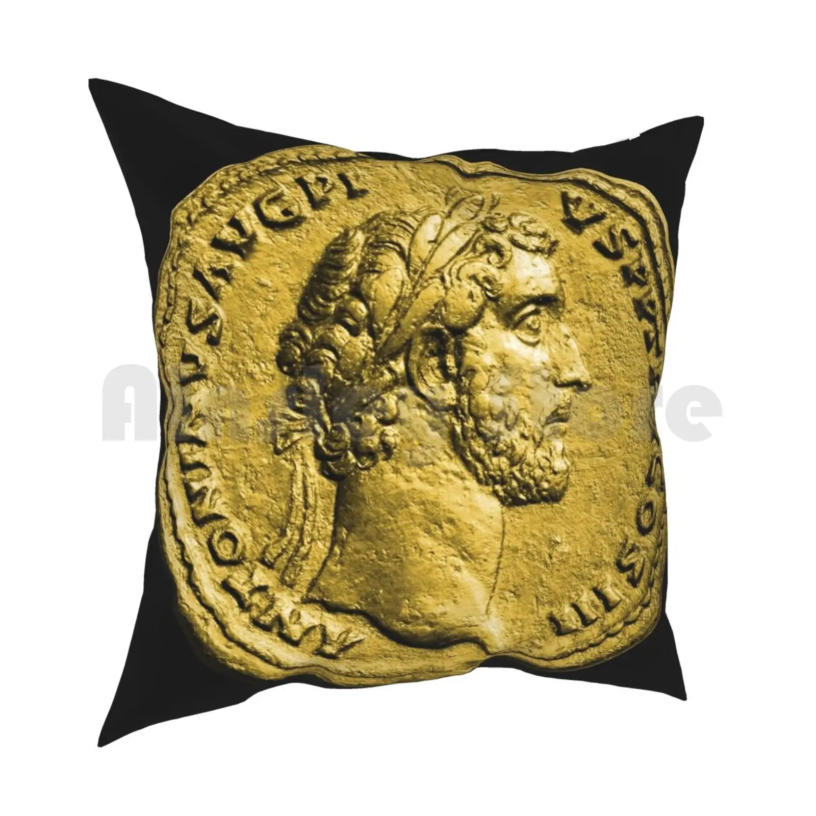 Antoninus Pius Gold Roman Coin Pillow Case Printed Home Soft DIY Pillow cover Gold Roman Coin Ancient History Sestertius