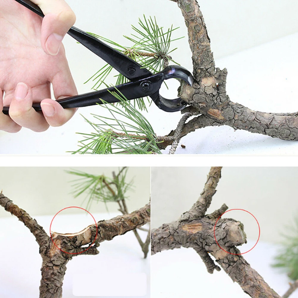 Professional Bonsai Branch Cutter, Heavy Duty, Concave Cutter, Knob, Plants Pruner, 8.27