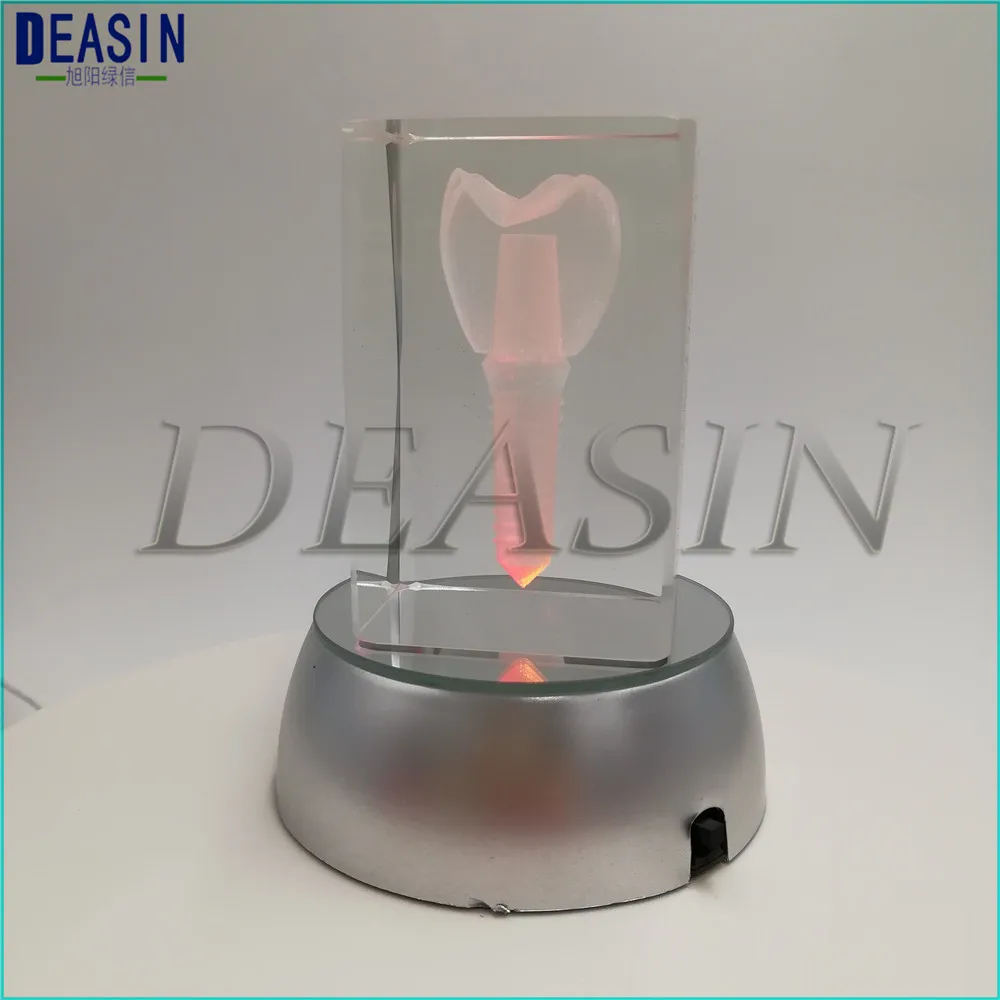 Dentist Gift Crafts 3Glowing 3D Tooth Model Clear Crystal with base