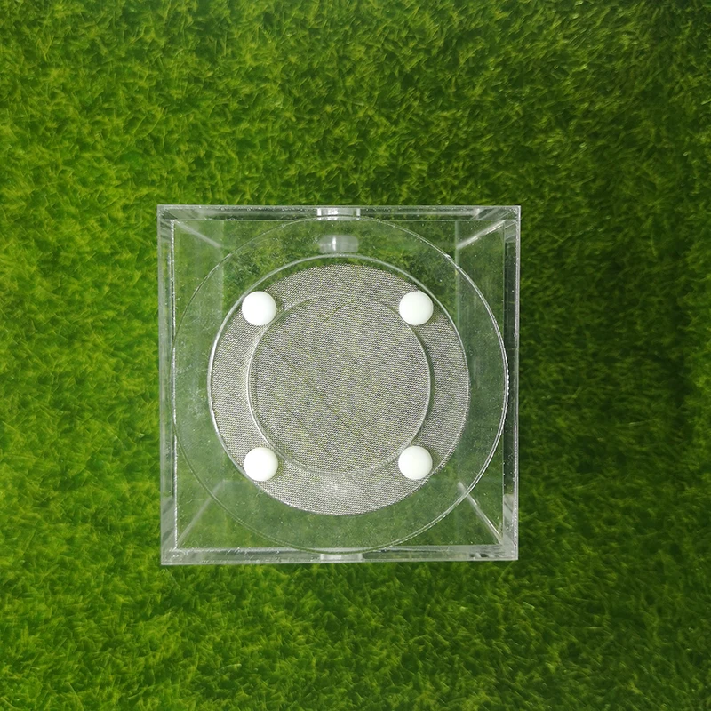 Square Ant Nest Transparent Activity Area Acrylic Ant Farm Climbing Pet Feeding Box 7x7x7 cm