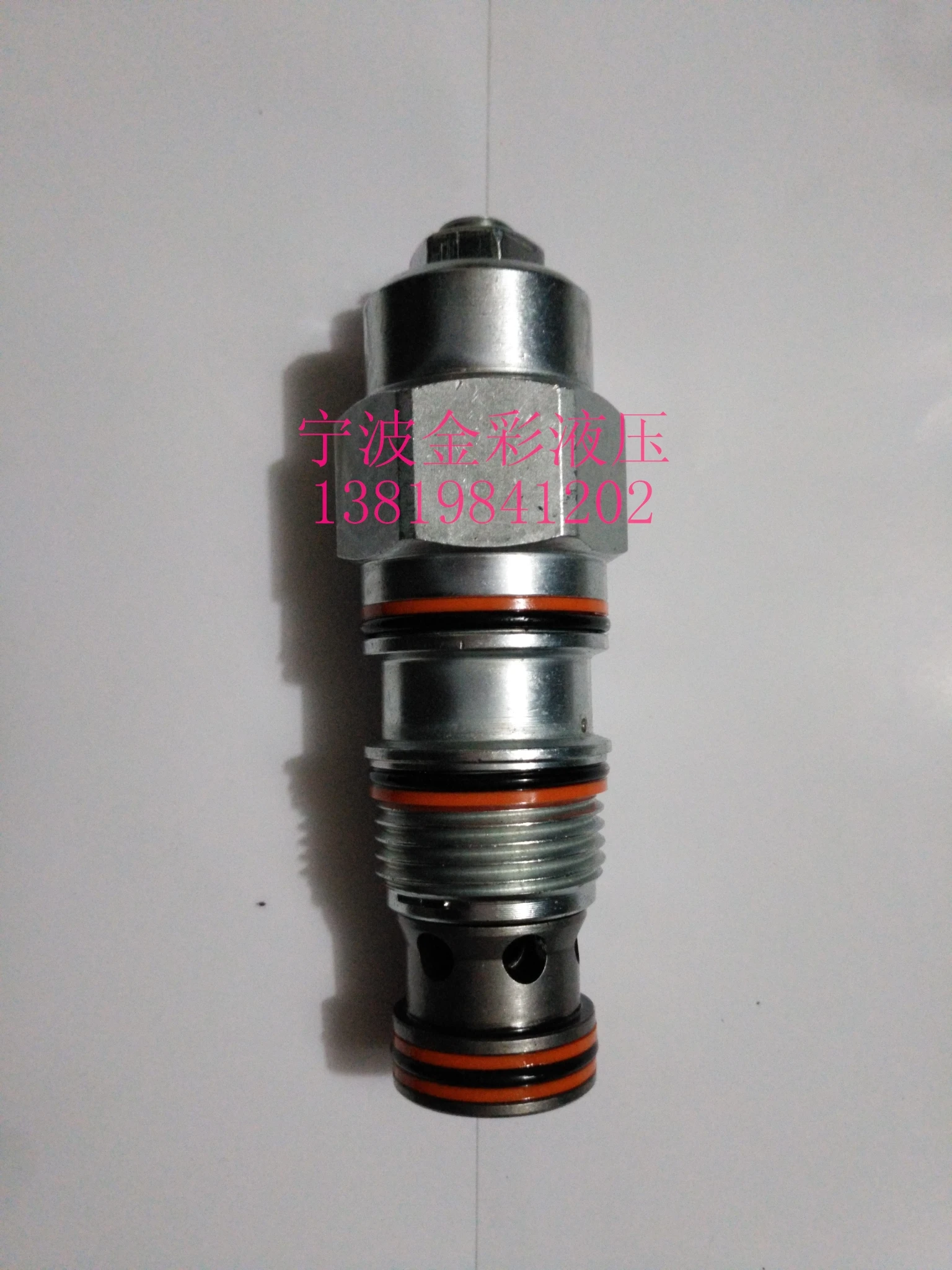 

Hydraulic Screw Insert Balance Valve CBEA Valve 120L PF12EG-01