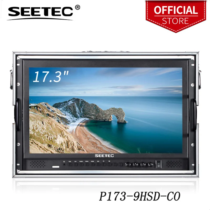 Seetec 17.3