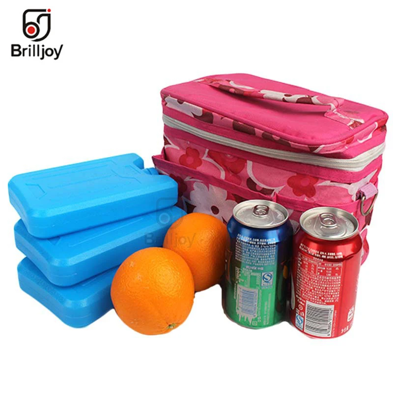 Glacière portable réutilisable en forme de brique, capacité 600ml, stockage de lait, fruits, camping, voyage