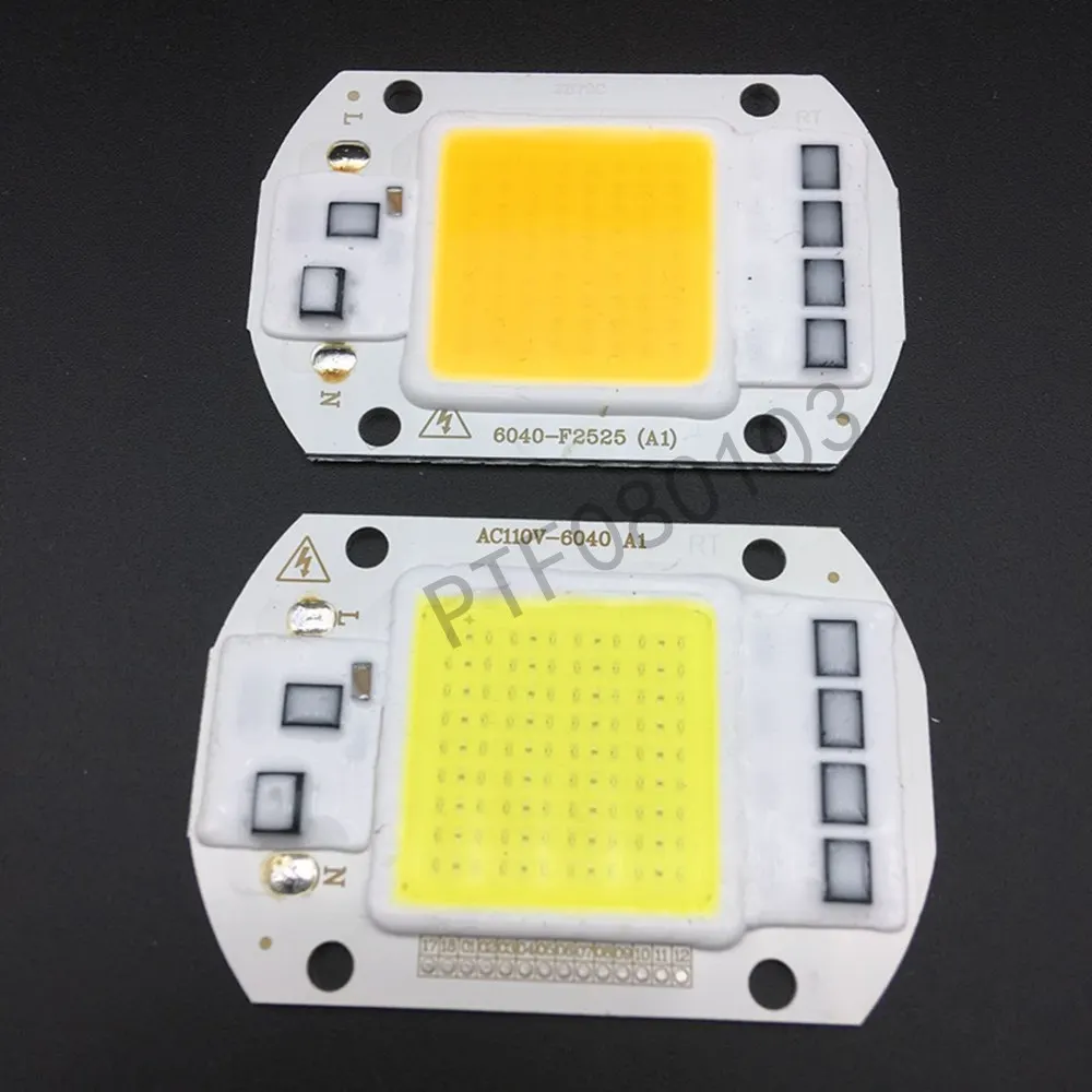 

10PCS LED COB Lamp Chip 50W 220V 110V Input Smart IC Driver Fit For DIY LED Floodlight Spotlight Cold White Warm White