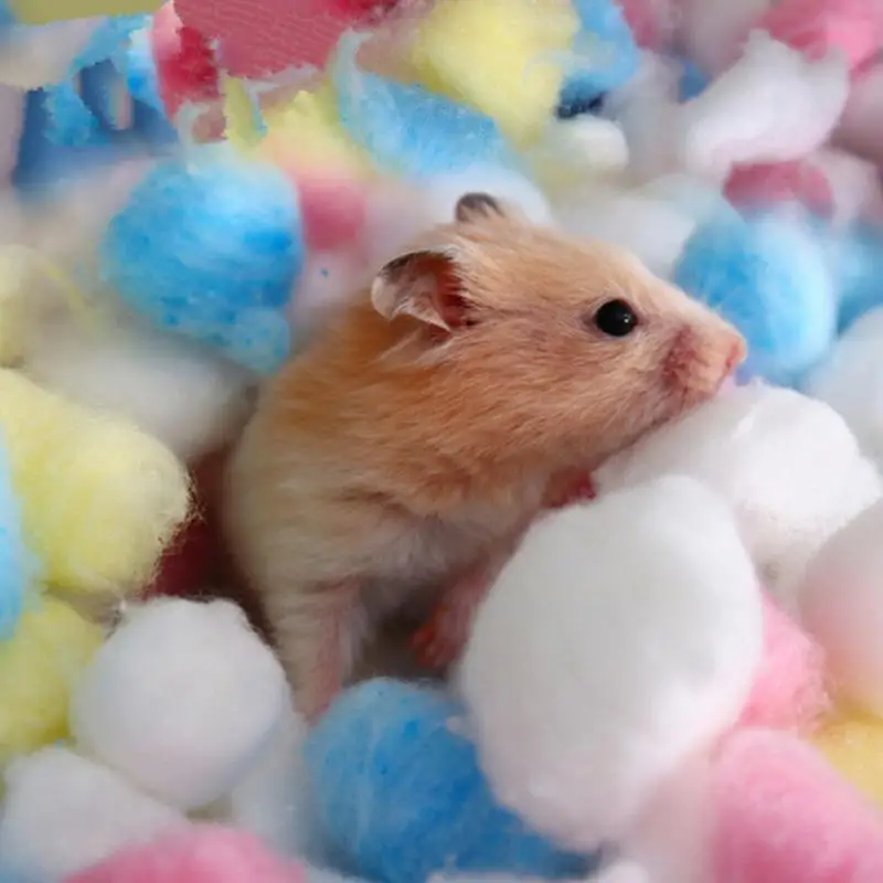 100PCS Hamster Cotton Balls Winter Warm Hamster Nesting Material Colorful Cute Mini Balls Small Pet Cage Accessories