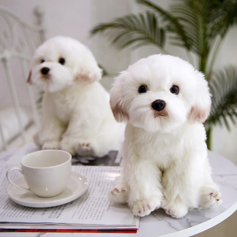 Bichon Frise Puppy Peluche de peluche para niños, perro de peluche, mascotas de simulación lindas, muñecas de bebé esponjosas, regalos de cumpleaños, envío directo