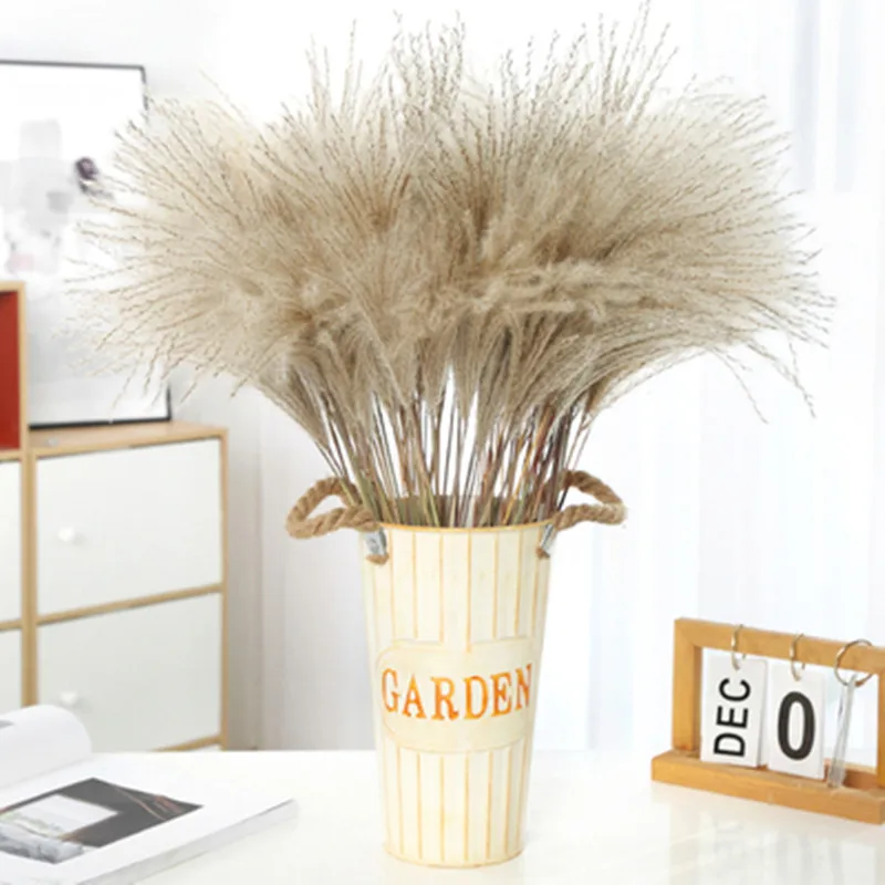 

30Pcs Real Dried Reed Flowers Decoration Ornaments Small Reed Flower Dry Home Natural Pampas Grass Decor Room flores decorativas