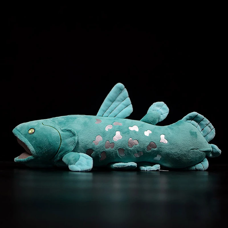 Juguetes de peluche de Coelacanth Collection para niños, juguetes de simulación de animales marinos de peluche suaves, regalos para bebés encantadores, Kawaii, coloriata