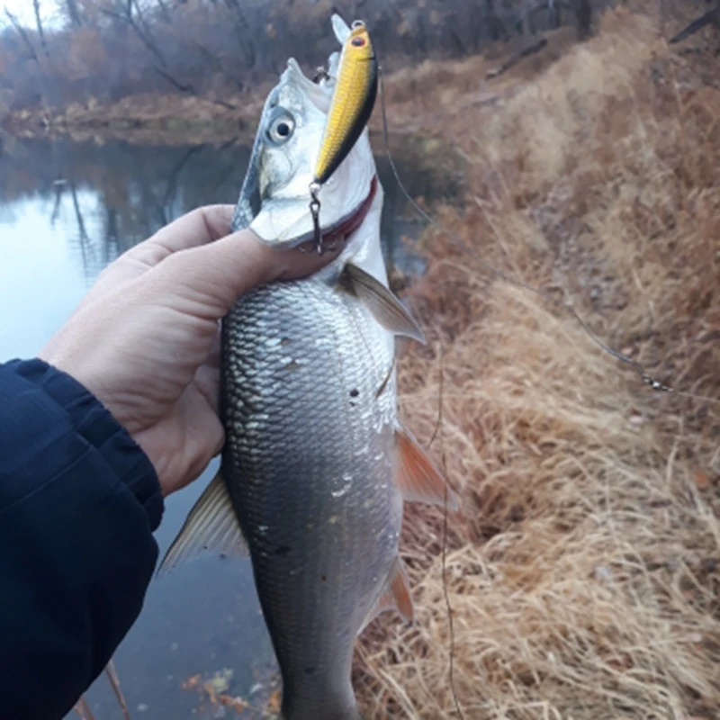 Leurre méné rigide pour la pêche à la traîne, appât Élidéal pour la carpe ou le brochet, wobJeff, crankbait, 70mm, 7.9g, 18 couleurs, 1 pièce