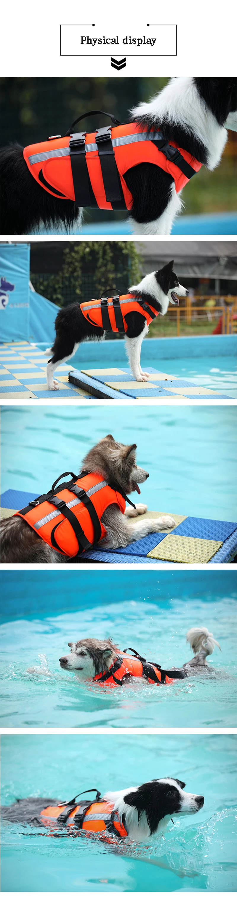 Colete salva-vidas para cachorro, roupa para proteção animal no verão, cor lisa