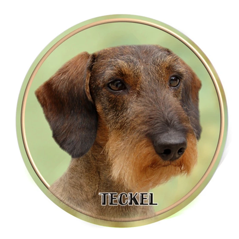 S30312# 13CM/17CM PVC Decal Dachshund Wirehaired Car Sticker Waterproof Auto Decors for Bumper Rear Window Laptop