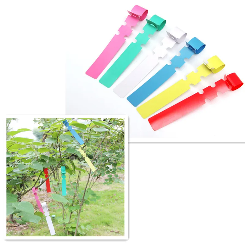 Adjustable PVC Plastic Plant Marker Plant Lableplant Markers For Garden Ring Plant Tag 8.26*0.78 Inches Waterproof Reusable