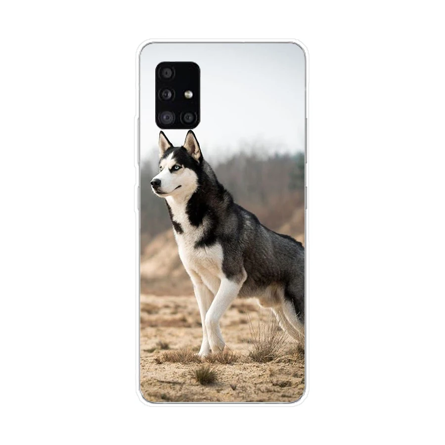 191SD Animal Husky puppy Soft Silicone Tpu Cover phone Case for Samsung Galaxy A01 A10 A31 A40 A41 A51 A71 A70 2019