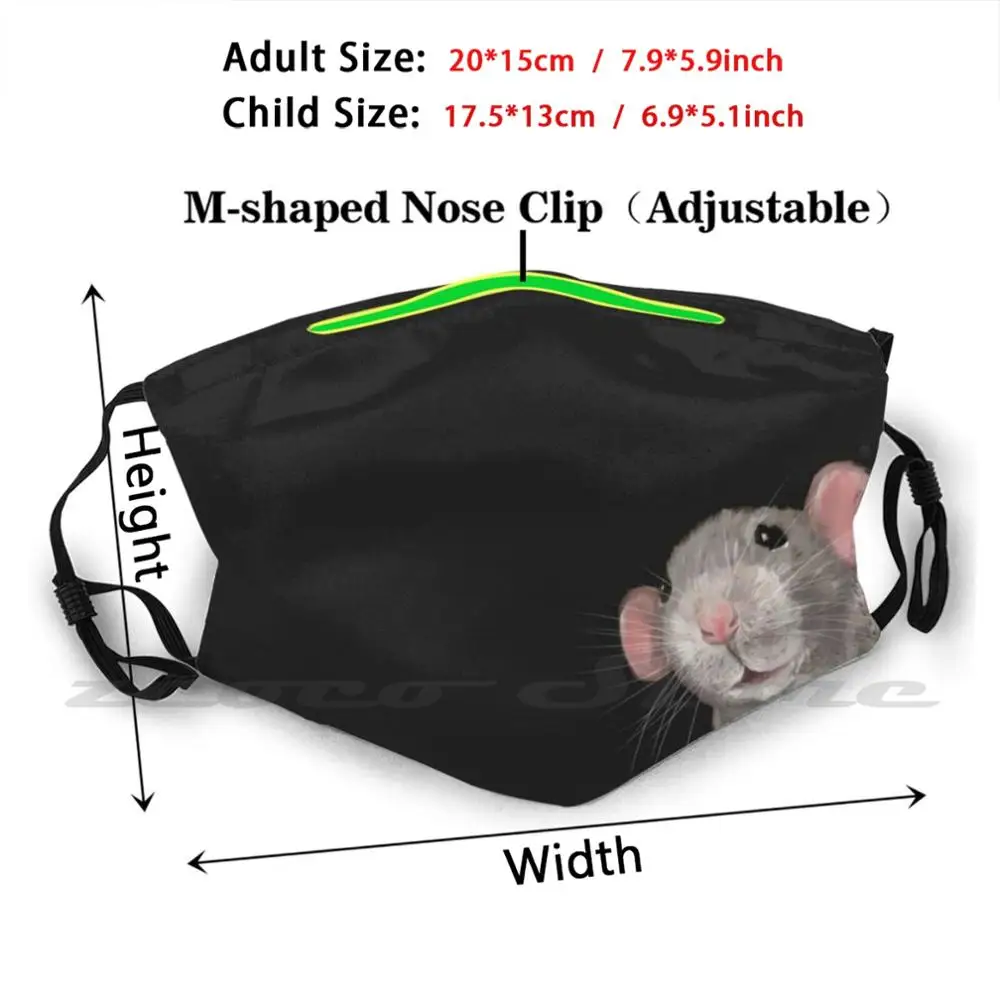 De Gluren Rat (Grijs/Zwart) masker Volwassen Kind Wasbare Pm2.5 Filter Logo Creativiteit Rat Rat Dieren Huisdieren Portret