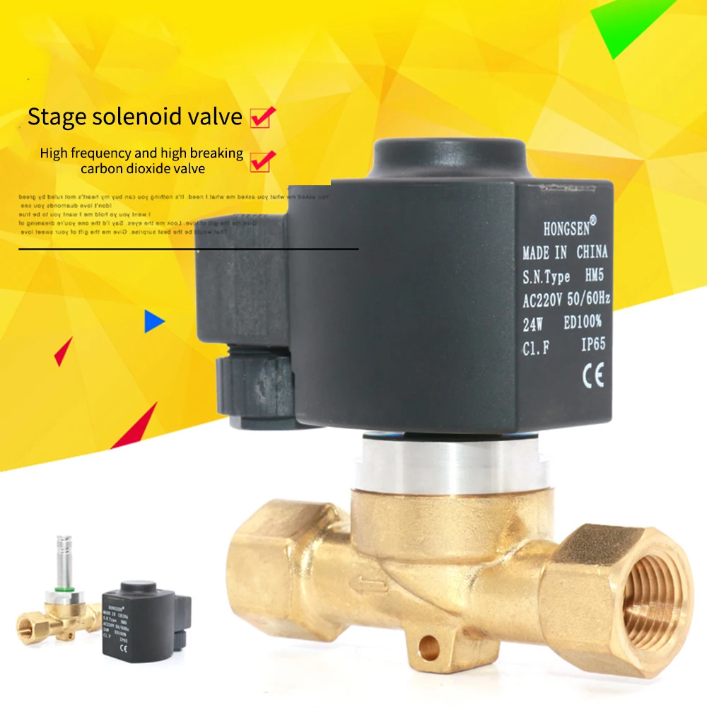 Stage Design Spray Carbon Dioxide CO2 Control One-way Carbon Dioxide Solenoid Valve HM5 24W Pneumatic Pressure Controller Switch