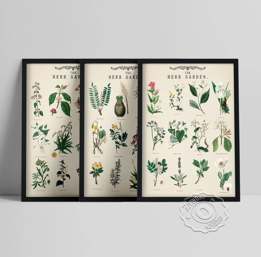 Vintage Herb Garden Plant Education Posters Wall Art Prints School Classroom Decorative Canvas Paintings Modular Wall Pictures