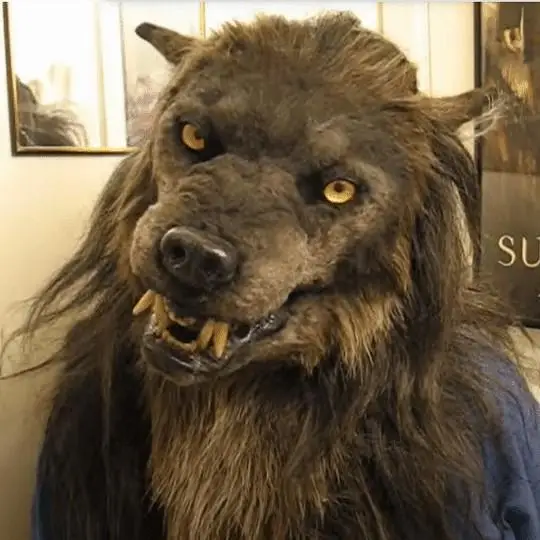 Máscara Y Guantes De Hombre Lobo De Látex | Realista, Con Garras Y Pelaje, Talla única Para Adultos Y Niños, Ideal Para Halloween Y Cosplay