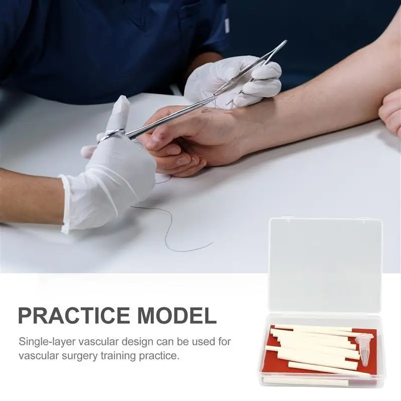 1 Set Human Blood Vessels Model Vascular Surgery Training Model for Training (The color of blood vessel model is random_