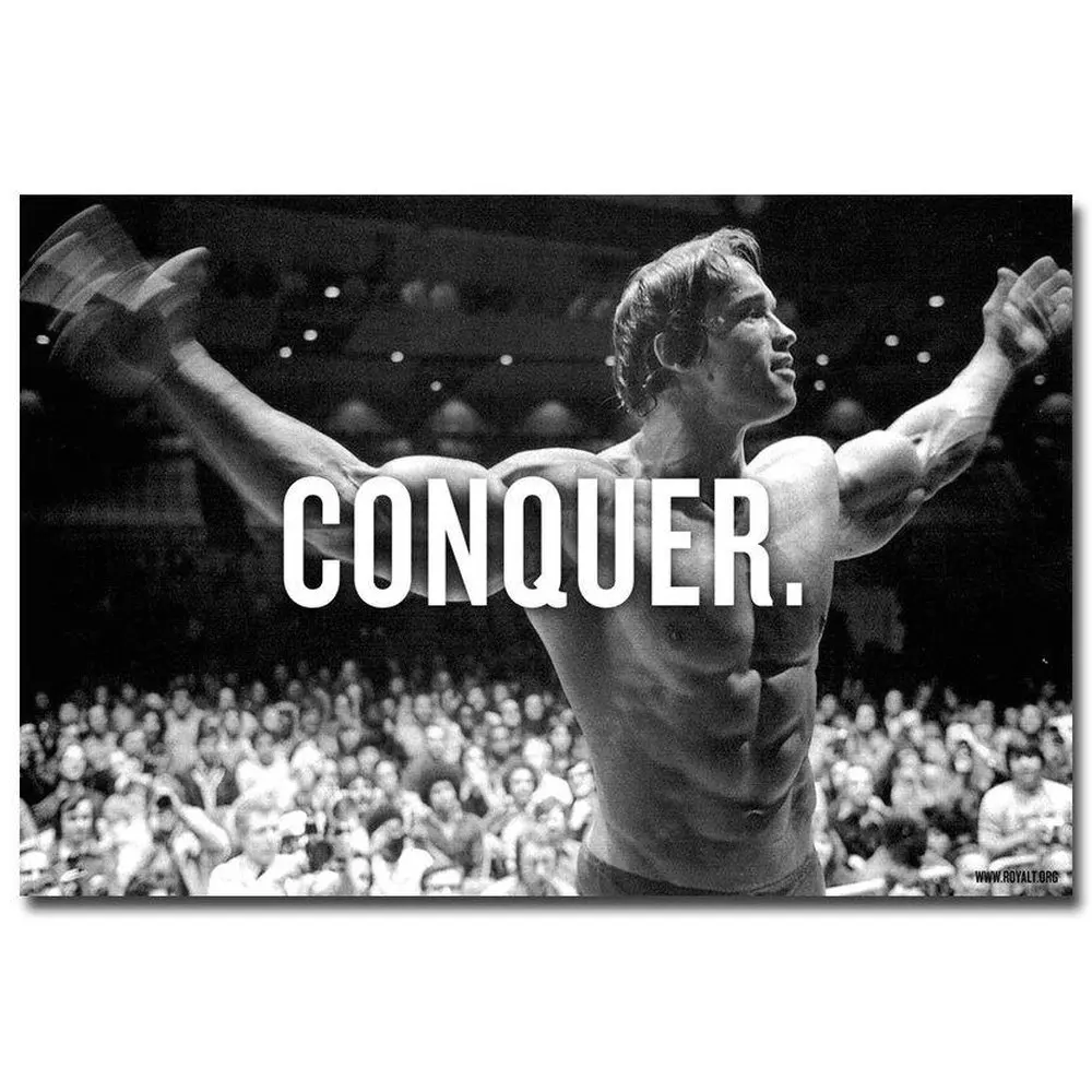 072 ARNOLD SCHWARZENEGGER - Conquer Motivational Wall Silk Cloth Poster Art Decoration Gift