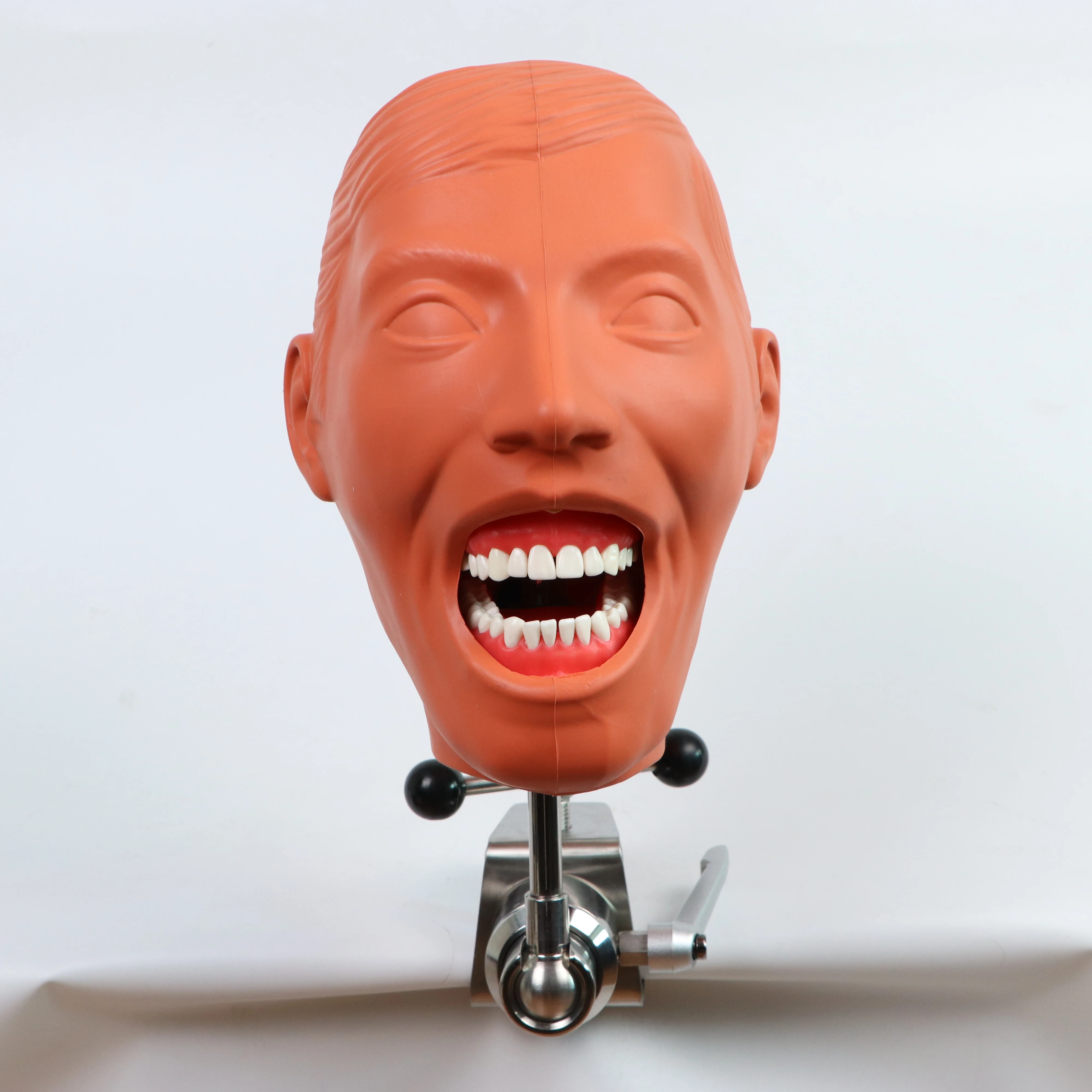 

Dental Simulator Nissin Manikin Phantom Head Dental Phantom Head Model With New Style Bench Mount For Dentist Education