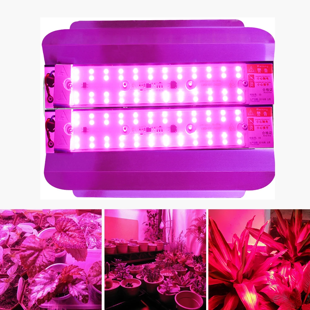 LED Grow Light 50W 100W Full Spectrum Indoor Greenhouse lamp full Grow Lights For Medicinal Plants Flower vegetable seeds