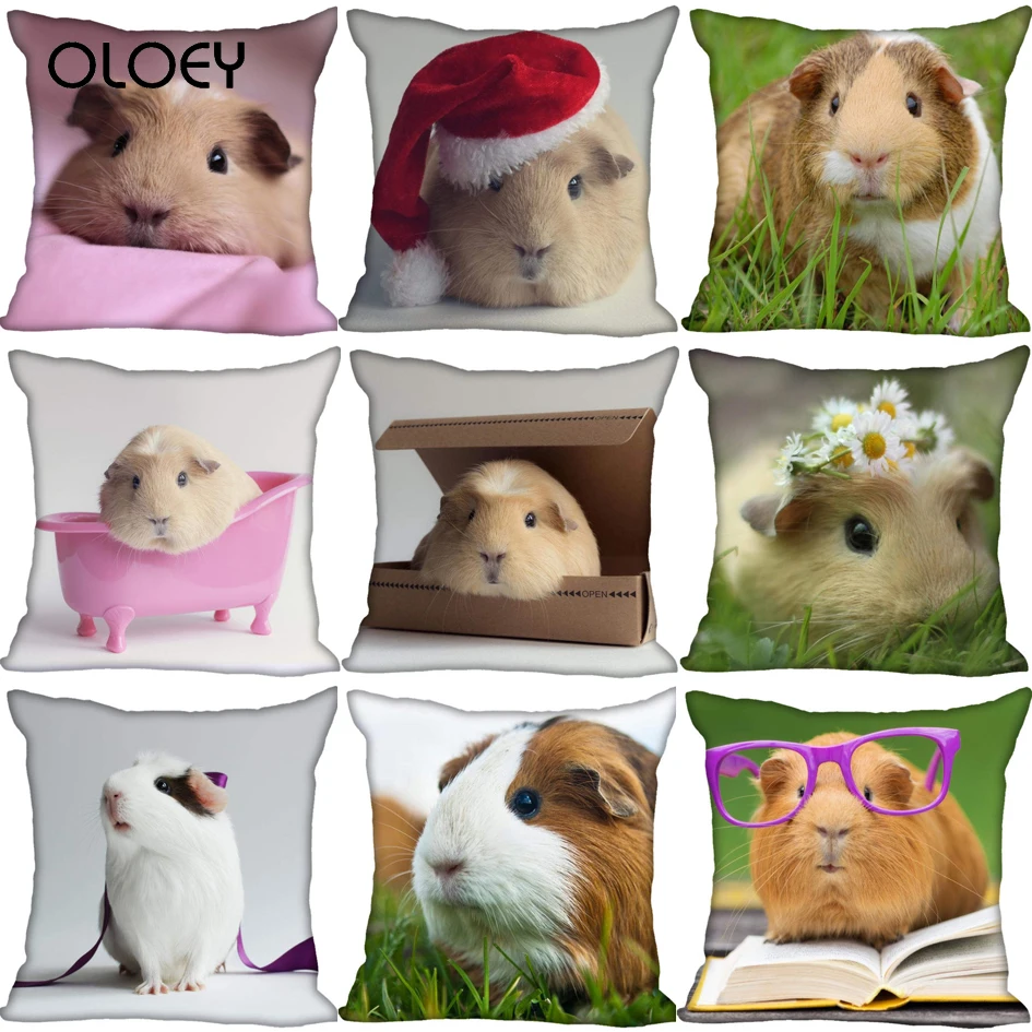 

Guinea Pig Cushion Cover for Living Room Pillow Cover 45X45cm(one Sides) Cushion Cover Modern Home Decorative Hotel Car Backrest