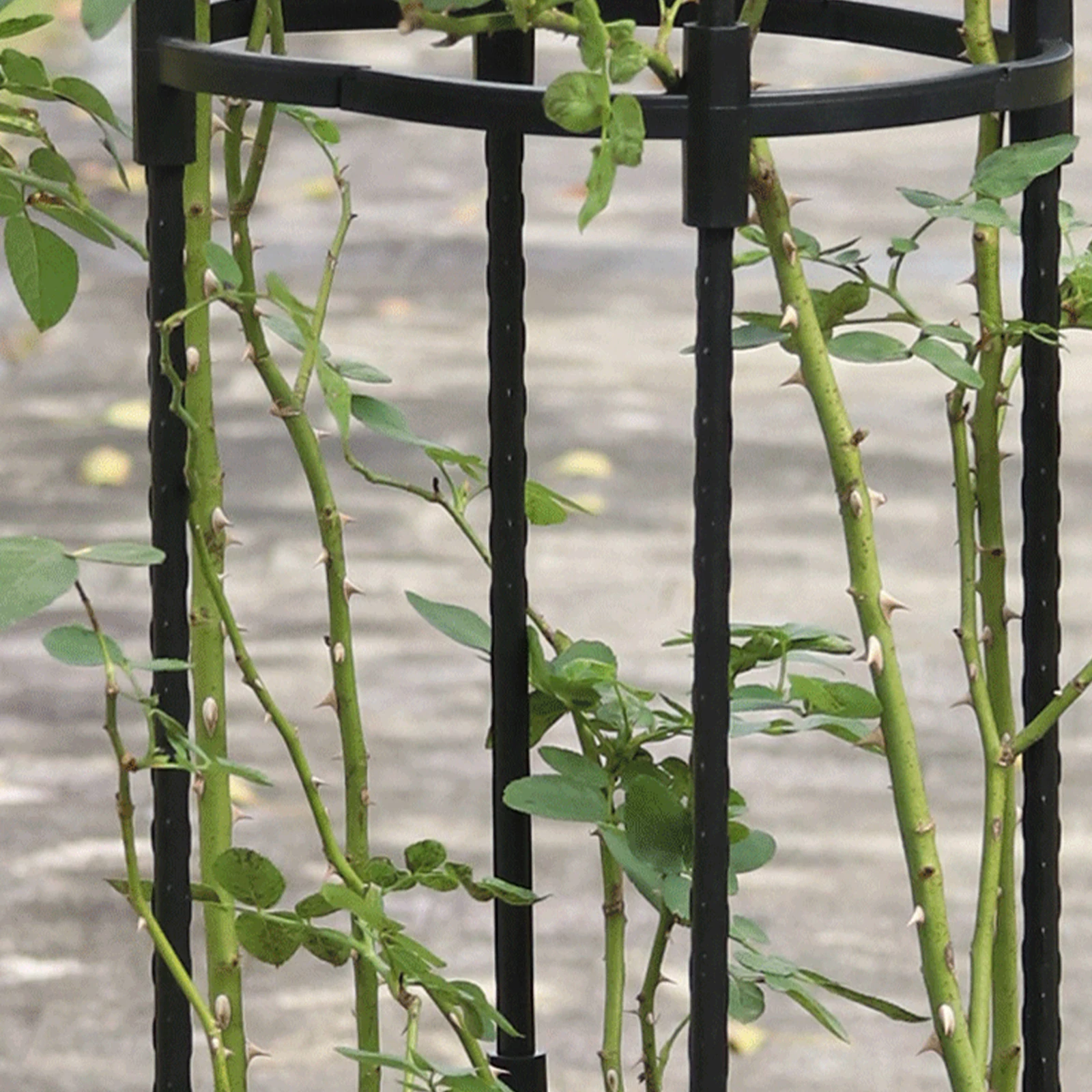 Planten Stand Rack Tuinieren Benodigdheden Klimrek Huishoudelijke Houder Voor Groenten Wijnstokken Rose U-Vormige U Vorm Rvs