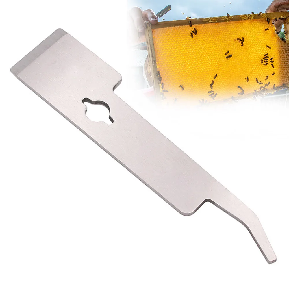 

Mini Bee Scraper Beehive Scraper Stainless Steel Take Honey Knife For Beekeeper Multifunctional Uncapping Beekeeping Tools