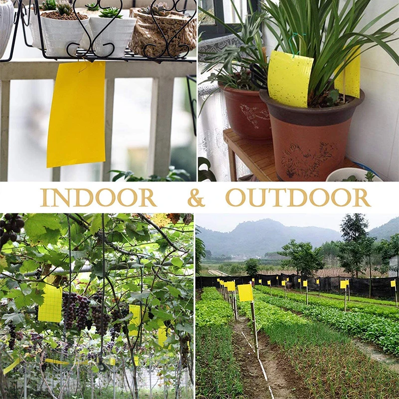 30-100pcs Strong Fly Traps Bugs Sticky Board Dual-Sided Catching Aphid Insect Pest Control Whitefly Thrip Leafminer Glue Sticker