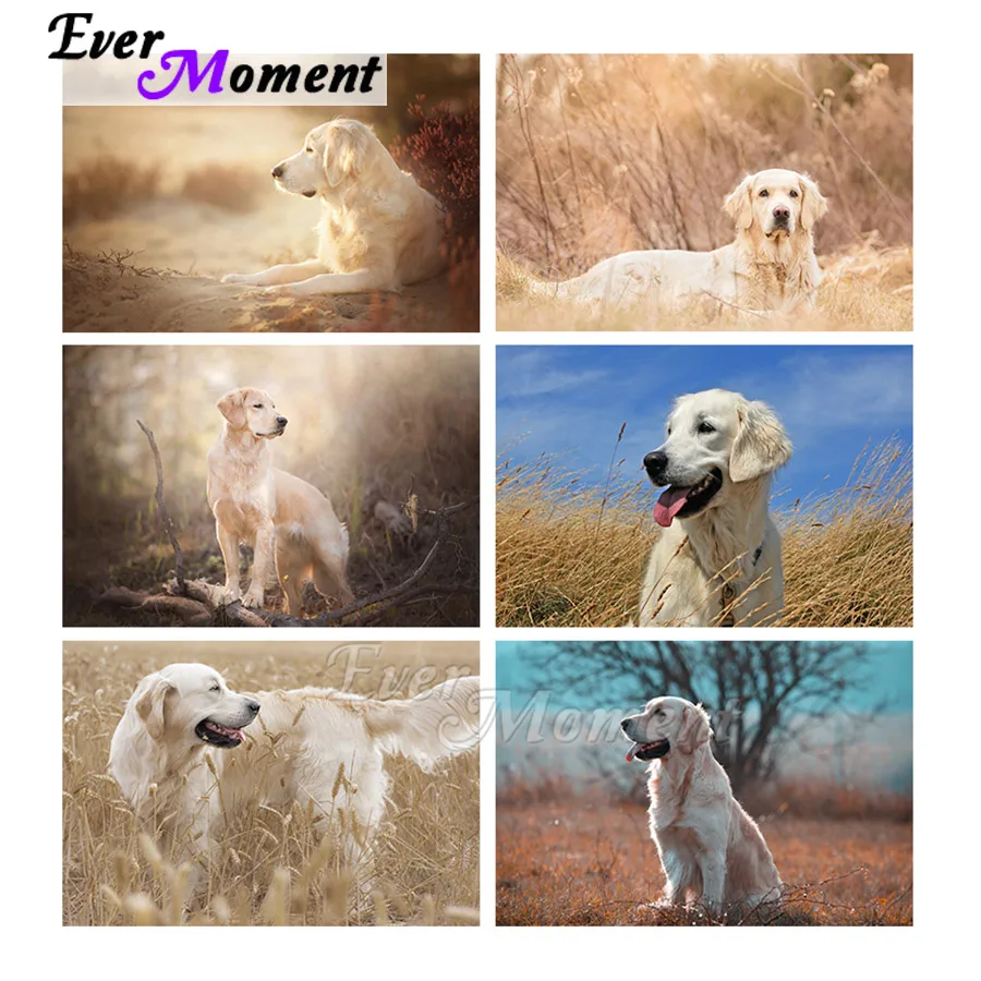 

Ever Moment Diamond Modern Canvas Painting Golden Retriever Pet Dog Scenic Mosaic Cross Stitch Kits Full Square Drill 5D ASF2381