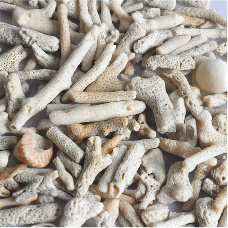 HONGYI Natural Coral Bone Stone Marine Aquarium Fish Tank Filter Media