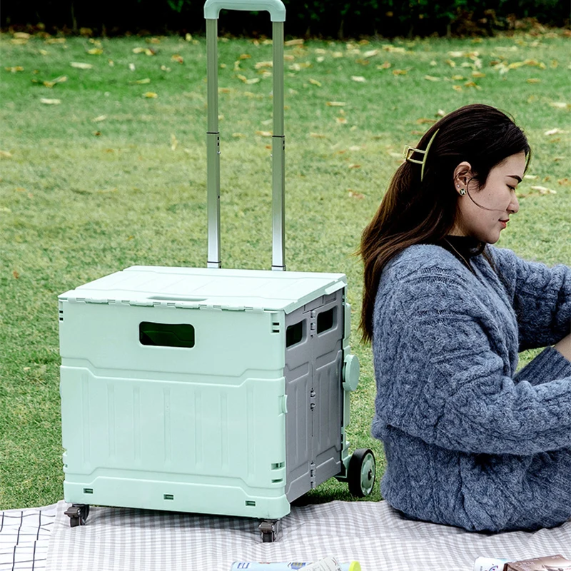 

Продуктовая тележка для покупок, складная тележка для покупок в супермаркете, портативная тележка для корзины для еды, бытовая тележка DY6026