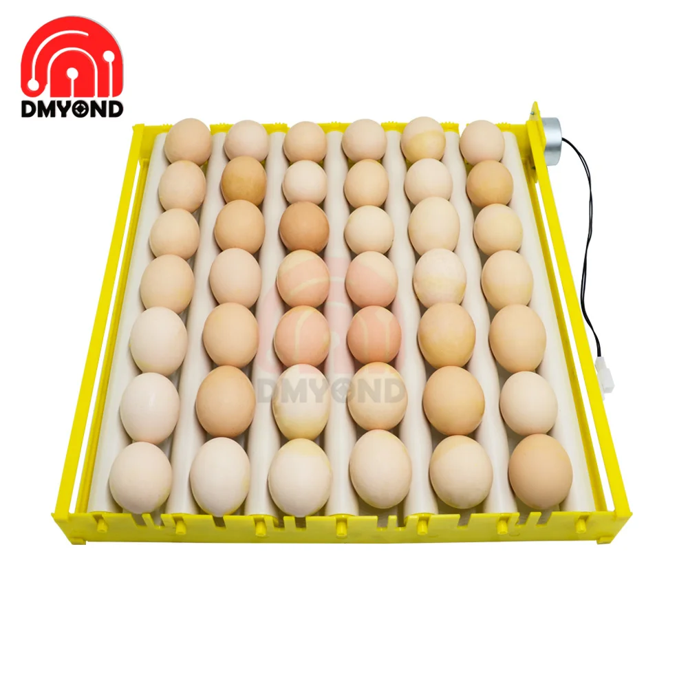 Automático Rotary Egg Turner Tray Incubadora para incubação, Farm Incubation Tool, Duck Quail Bird Poultry Acessório, 360 Graus